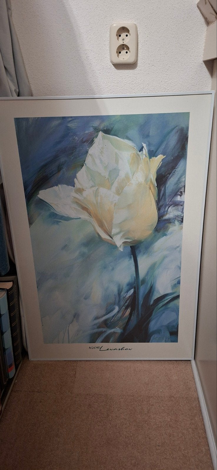 Schilderij Igor Levashov - Tulp met Witte Lijst, Ophalen, Ingelijst, Bloemen