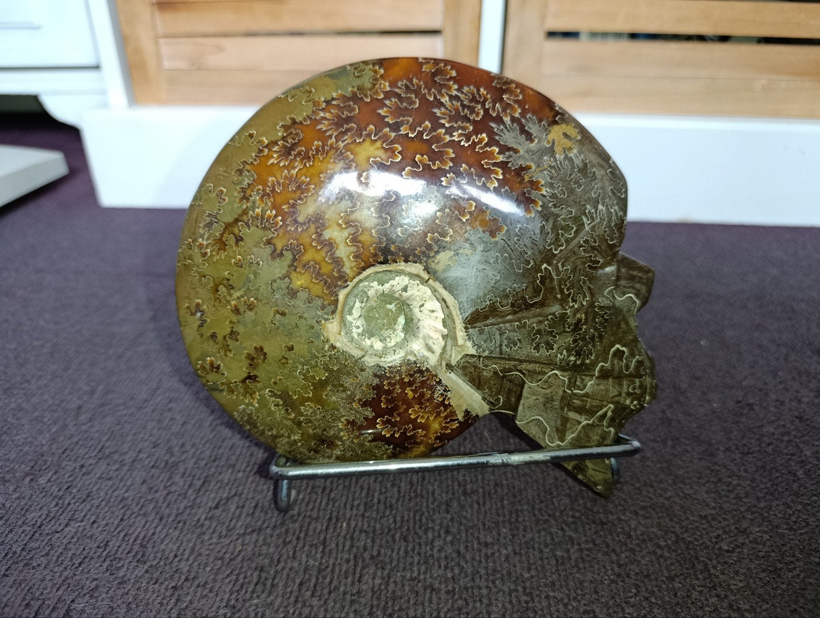 XXL Ammoniet Schedel (1,4 kg) - Handgesneden Fossiel met Ora, Verzamelen, Mineralen en Fossielen, Ophalen of Verzenden, Fossiel
