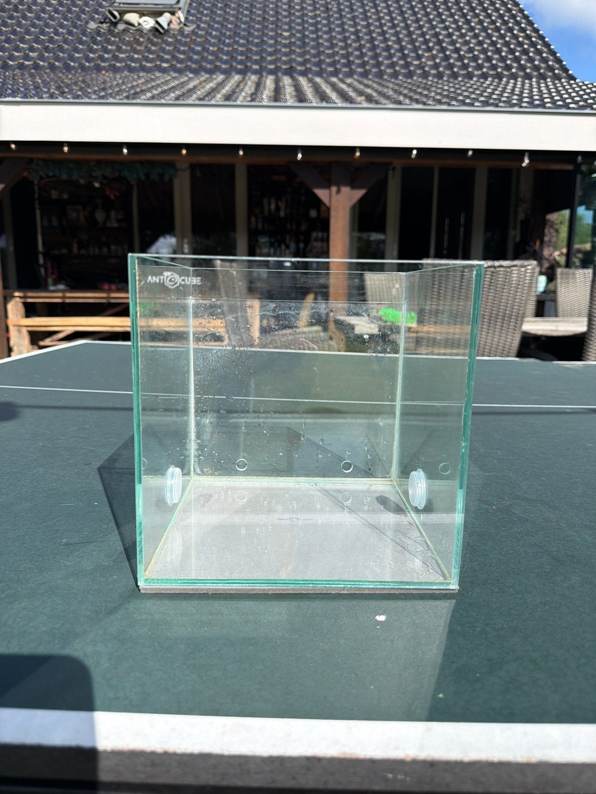 Ant cube mieren hok, Ophalen of Verzenden, Gebruikt
