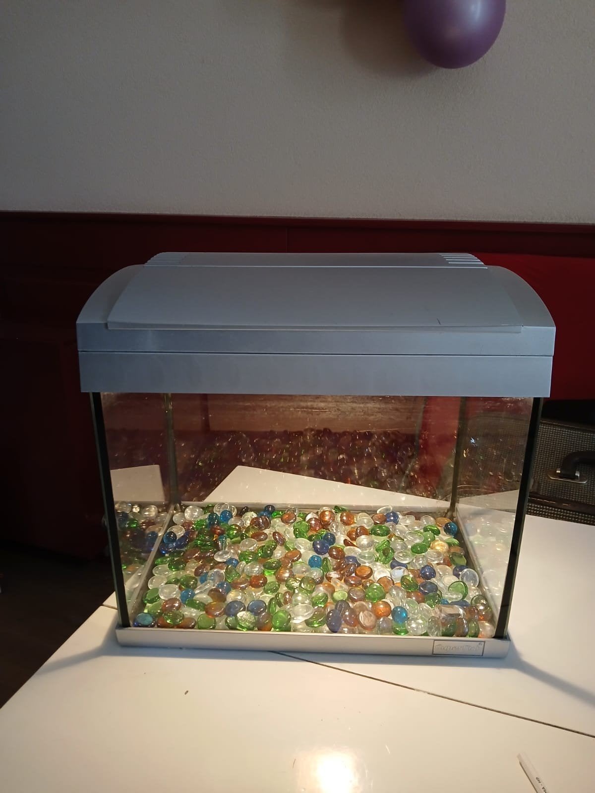 vissen aquarium met lamp, Ophalen of Verzenden, Zo goed als nieuw, Leeg aquarium