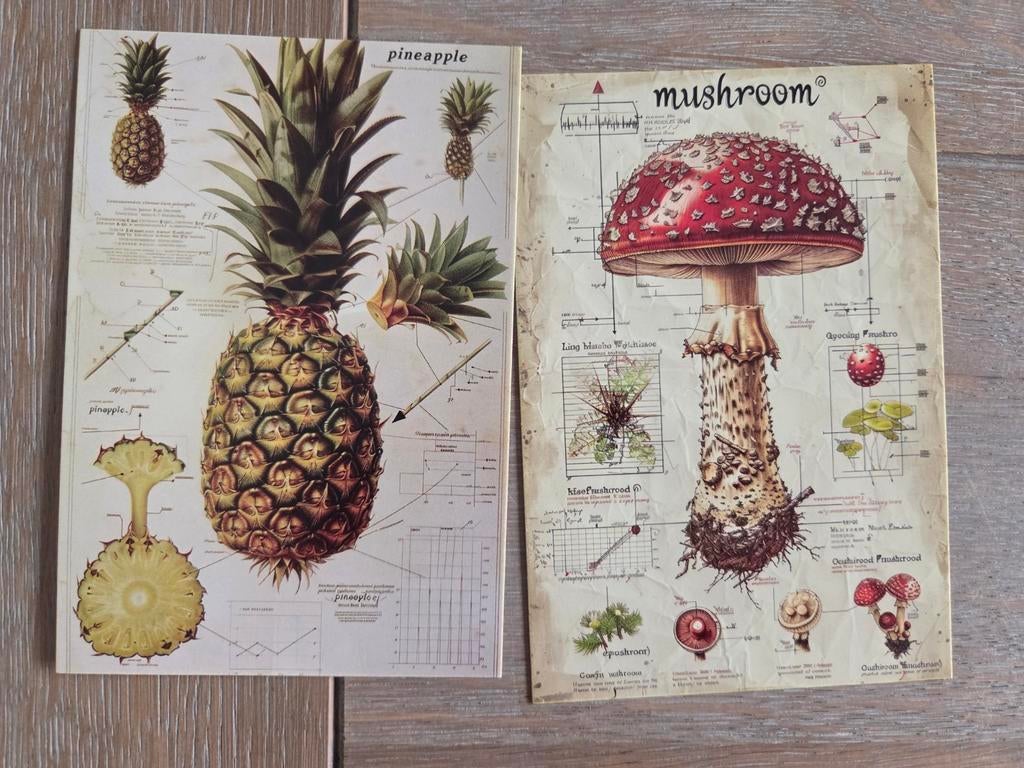 GROENTEN FRUIT 9, Verzamelen, Ansichtkaarten | Themakaarten, Ophalen, Overige thema's