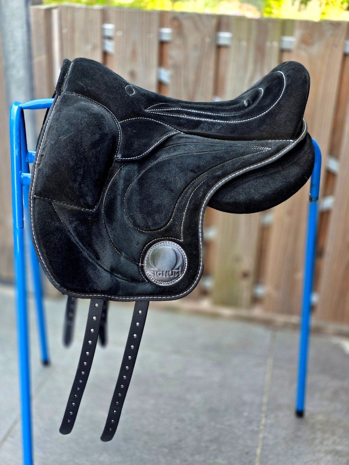 Signum working paddle | zwart | maat M | ZGAN, Dressuur, Overige merken, M (17 inch), Ophalen of Verzenden