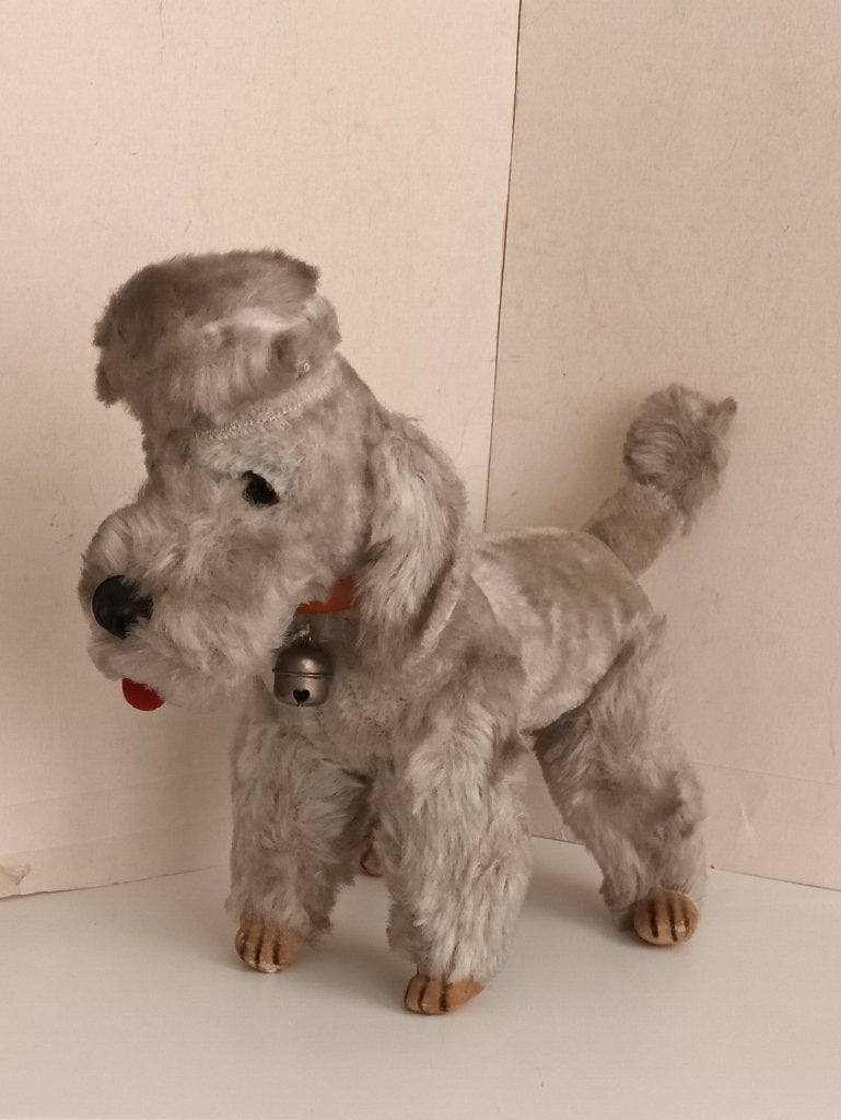 Antieke Steiff Poedel Snobby grijs teddy knopf im ohr, Ophalen of Verzenden