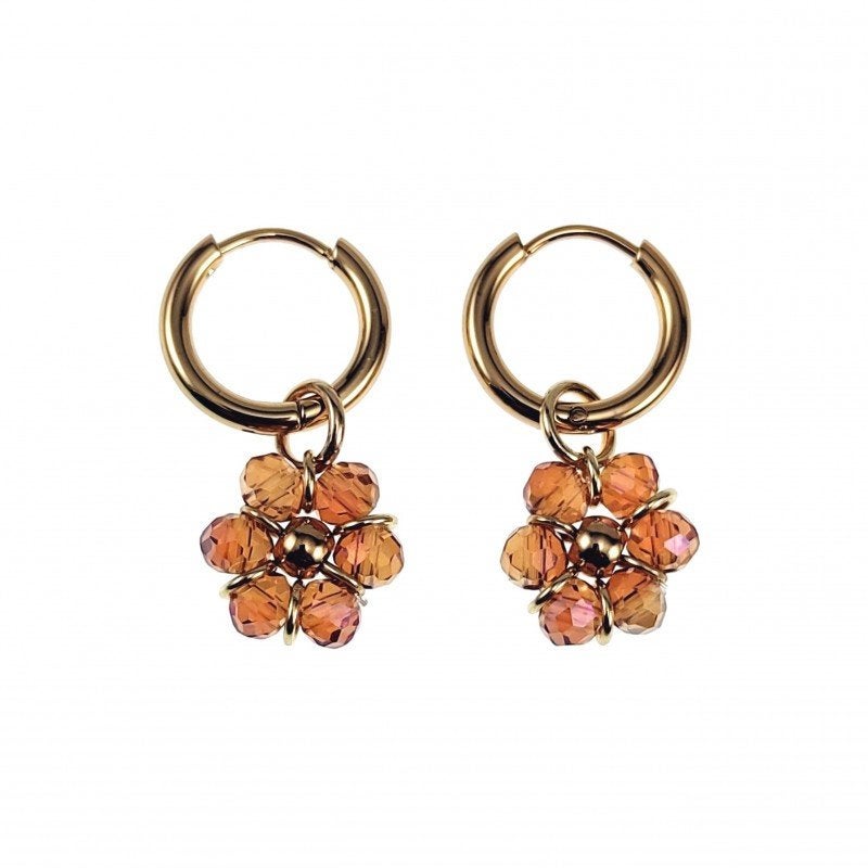 oorbellen, Met kristal, Overige materialen, Hangers, Birgitta-Gracht 33, 6465 EL Kerkrade, Nederland