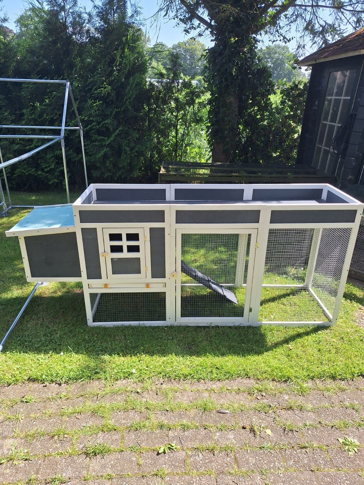 Nieuw kippenhok, Dieren en Toebehoren, Pluimvee, Vrouwelijk, Kip