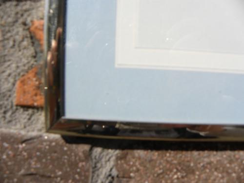 prent met vogels pimpelmezen, Ophalen of Verzenden, 'T Olde Gre-j, Info@toldegrej.nl, Endepoelstraat 20f Didam