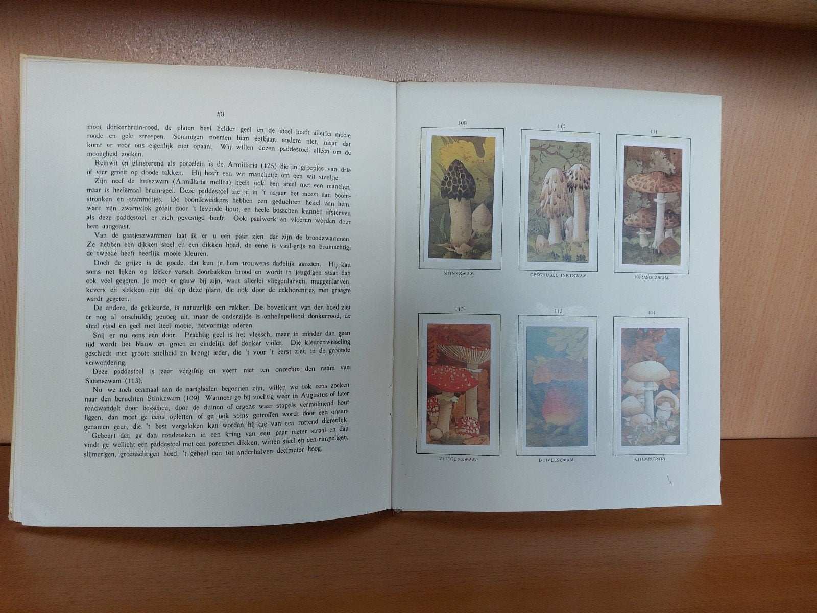 Jac. P. Thijsse Lente, Zomer, Herfst, Winter (1975 heruitg., Boeken, Gelezen, Ophalen of Verzenden, Natuur algemeen, Jac. P. Thijsse