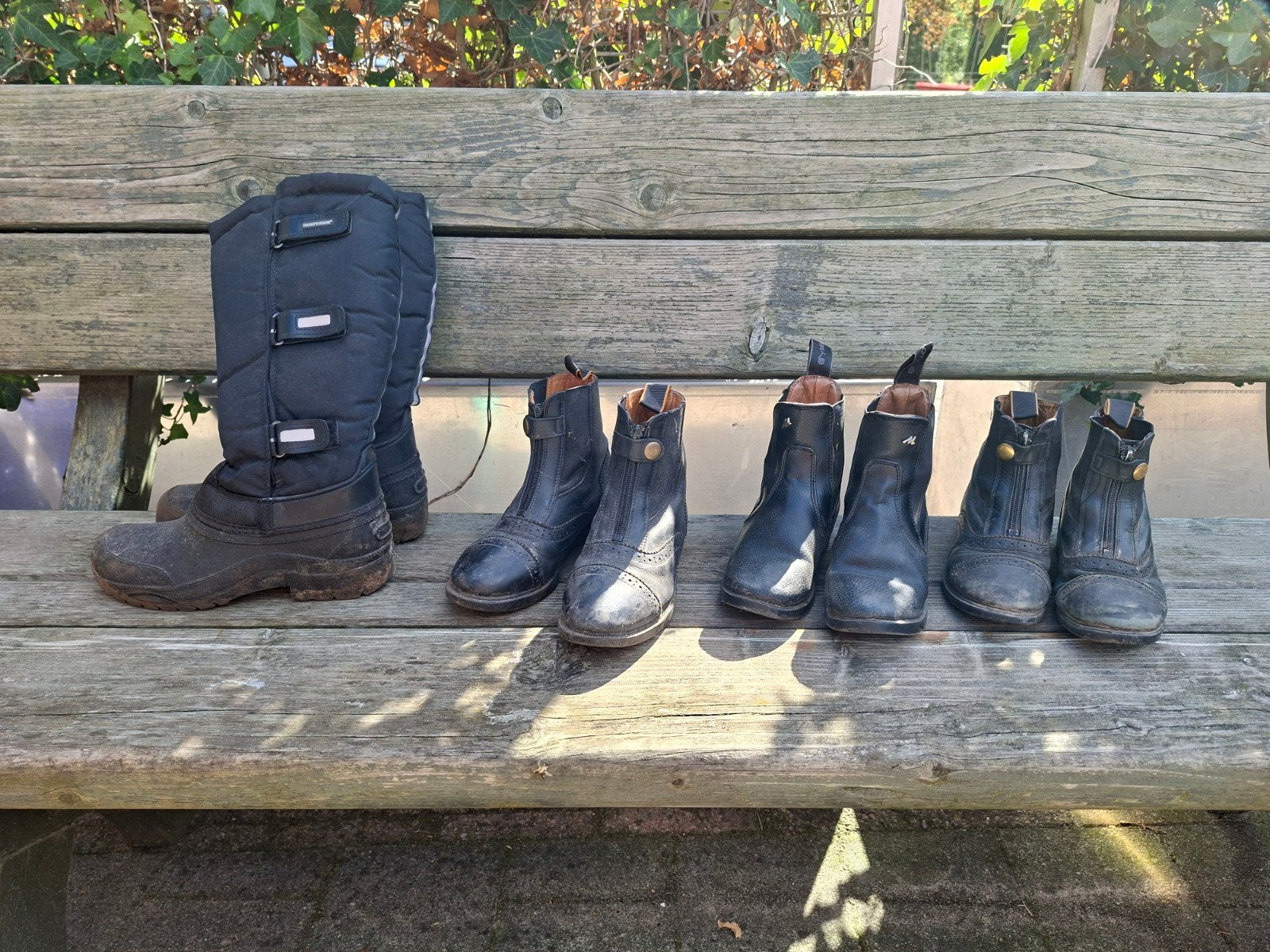 Jodhpurs maat 31 , 32, Verzenden
