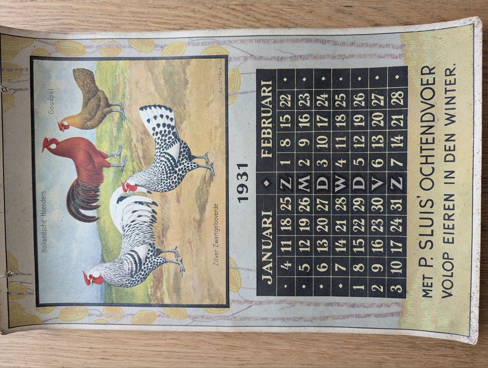P. Sluis kalender uit 1931, Ophalen of Verzenden, Gebruikt