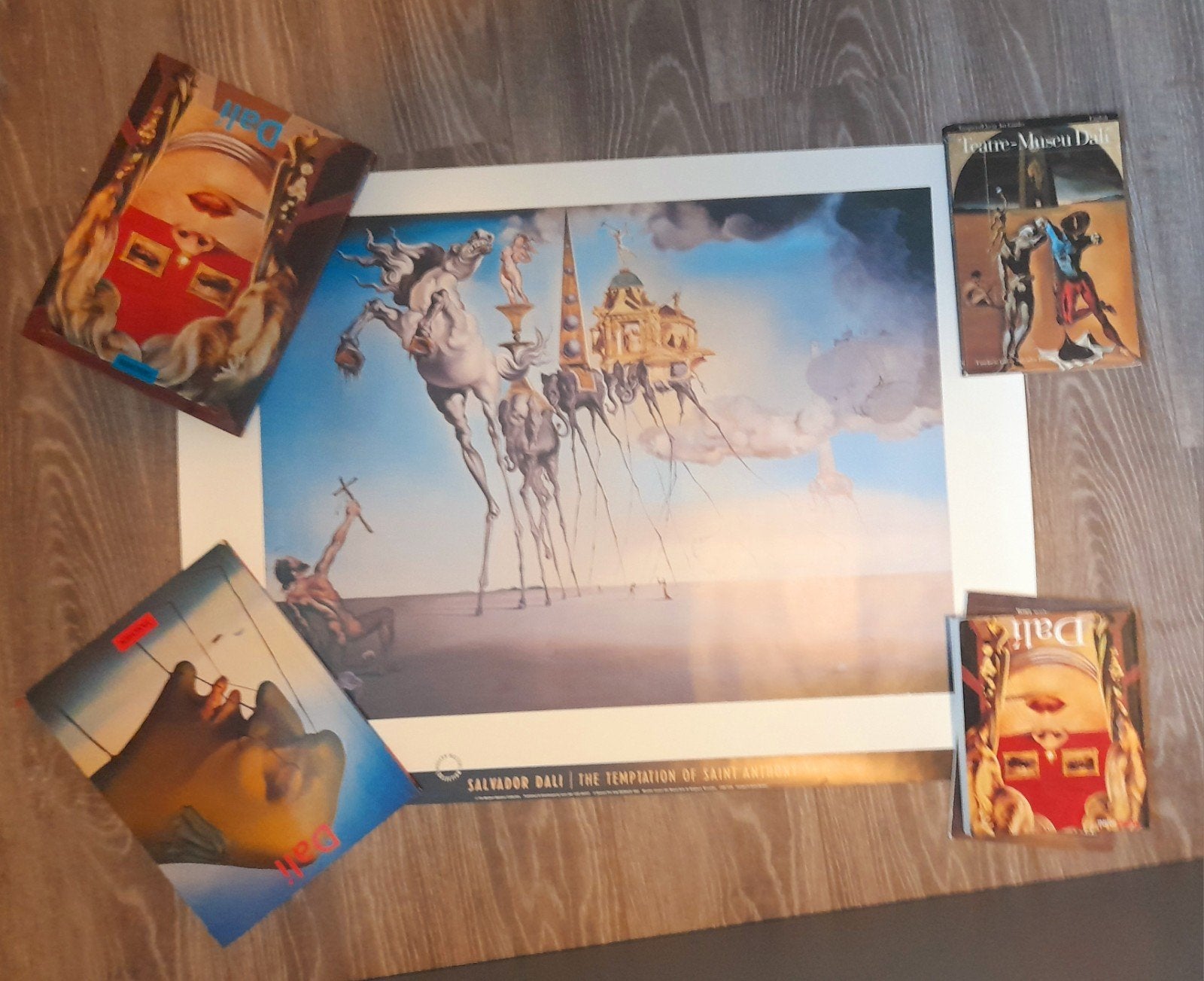 Salvador Dali poster, Ophalen, A1 t/m A3, Film en Tv