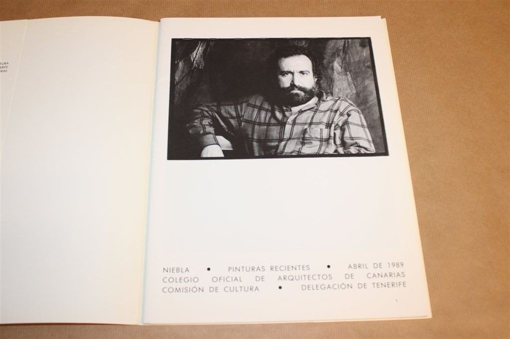 Niebla — Recente Schilderijen [1989], Ophalen of Verzenden, Gelezen