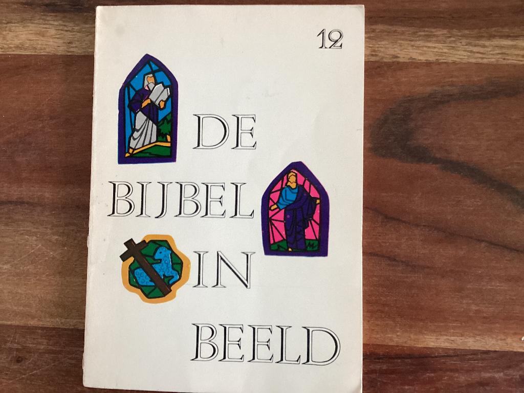 De bijbel in beeld deel 12, Matteüs t/m Johannes, Boeken, Christendom | Protestants, Ophalen of Verzenden, Onbekend, Gelezen