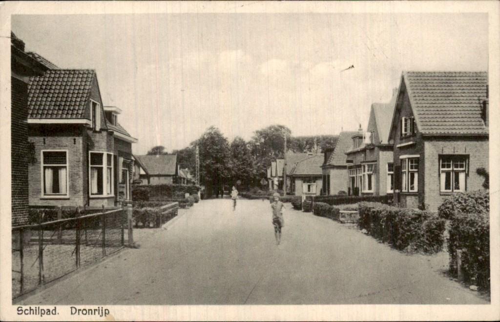 Dronrijp - Schilpad - straatzicht, Ophalen of Verzenden, 1920 tot 1940, Gelopen, Friesland