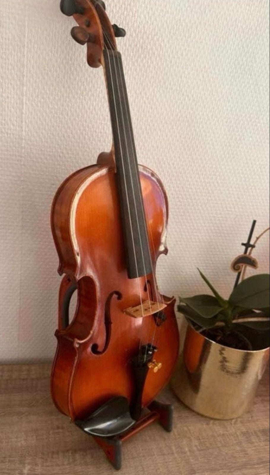Prachtige 1/2 Viool voor Jonge Beginners - Warme Klank, Ophalen of Verzenden, Gebruikt, 1/2-viool, Viool