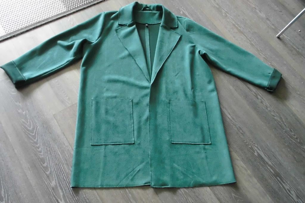 groene tussendoor jas maat xl, Ophalen of Verzenden, Zo goed als nieuw, Maat 46/48 (XL) of groter, Groen