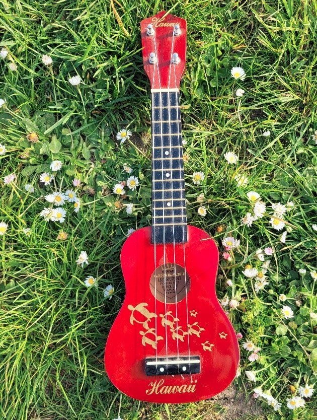 LEOLANI Hawaii UKELELE / Oekelele / Uke / Kleine Gitaar, Verzenden, Gebruikt, Overige typen