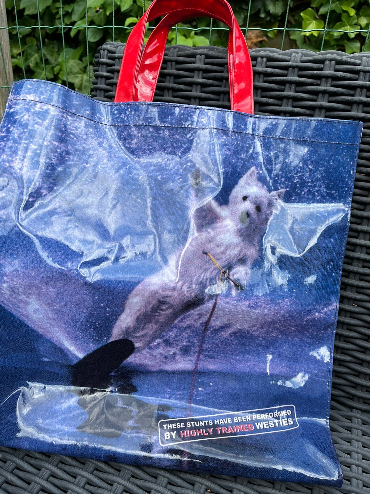 Tas. Plastic. Nieuw., Ophalen of Verzenden, Nieuw, Schoudertasje