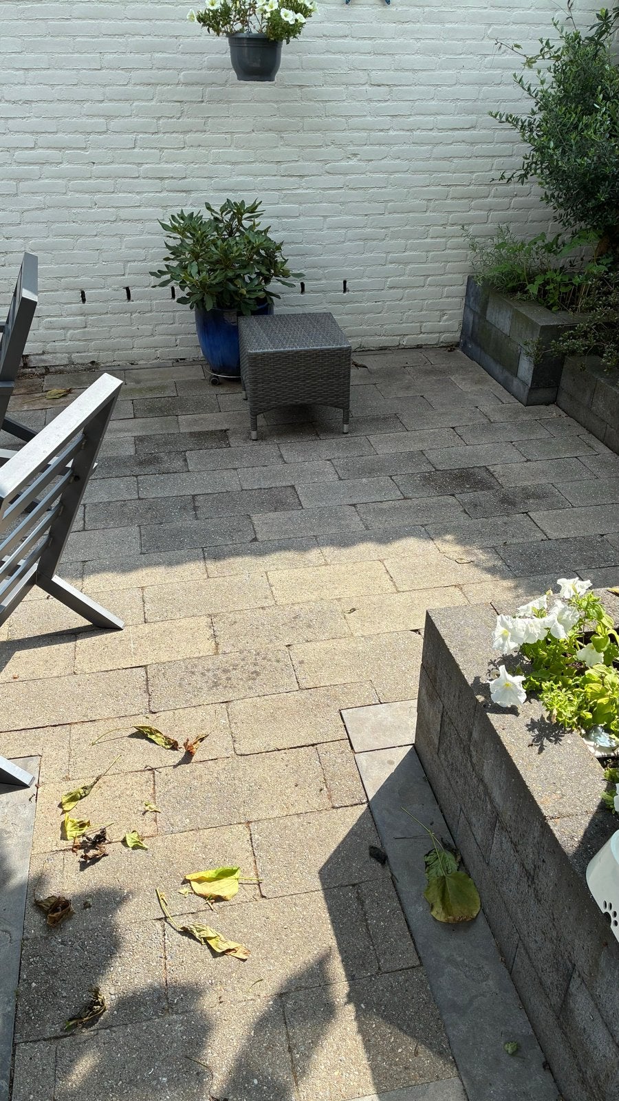 “Gratis”.Gebruikte terrastegels voor tuin of terras 20x40, Tuin en Terras, Ophalen, Gebruikt, 10 m² of meer, Beton