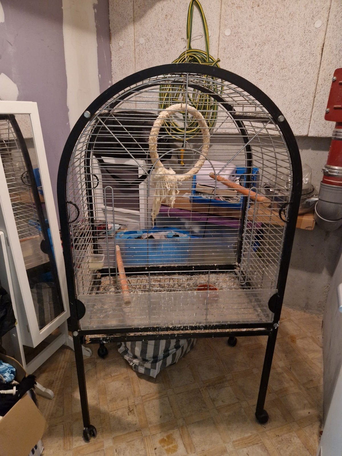 vogel papegaai kooi, Ophalen of Verzenden, Metaal, Vogelkooi