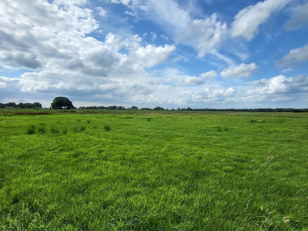 19,4 ha Kruiden- en faunarijk (natuur) grasland omg. Ruurlo, Ophalen, Vee