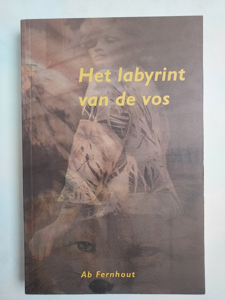 Het labyrint van de vos - Ab Fernhout, Boeken, Thrillers, Nieuw, Ophalen of Verzenden