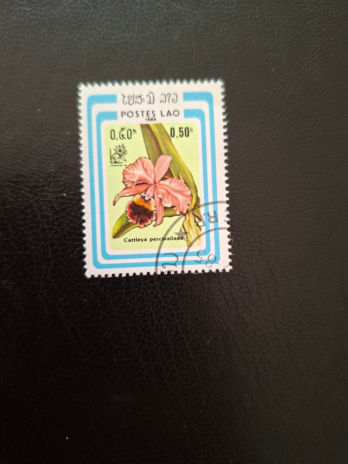 Bloemen.  Laos, Ophalen of Verzenden, Dier of Natuur