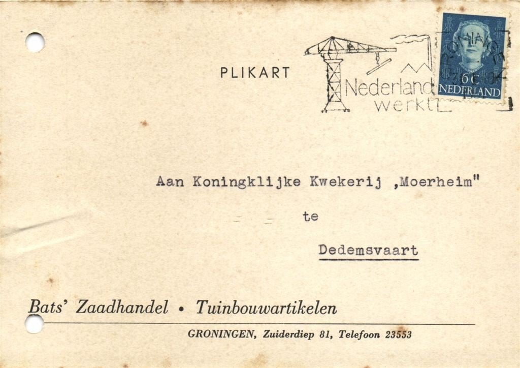 Bats Zaadhandel, Groningen - 01.1951 - plikart, Ophalen of Verzenden, Briefkaart