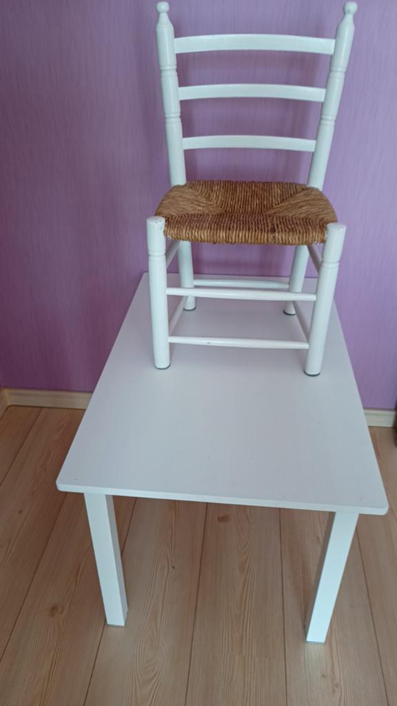 Kinderstoeltje met tafeltje, Ophalen of Verzenden, Gebruikt, Stoel(en)