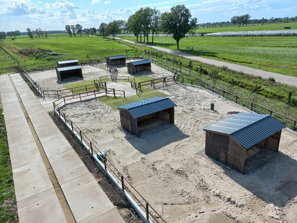 Groepshuisvesting, paddock paradise, Dieren en Toebehoren, Stalling en Weidegang, Weidegang, 4 paarden of pony's of meer
