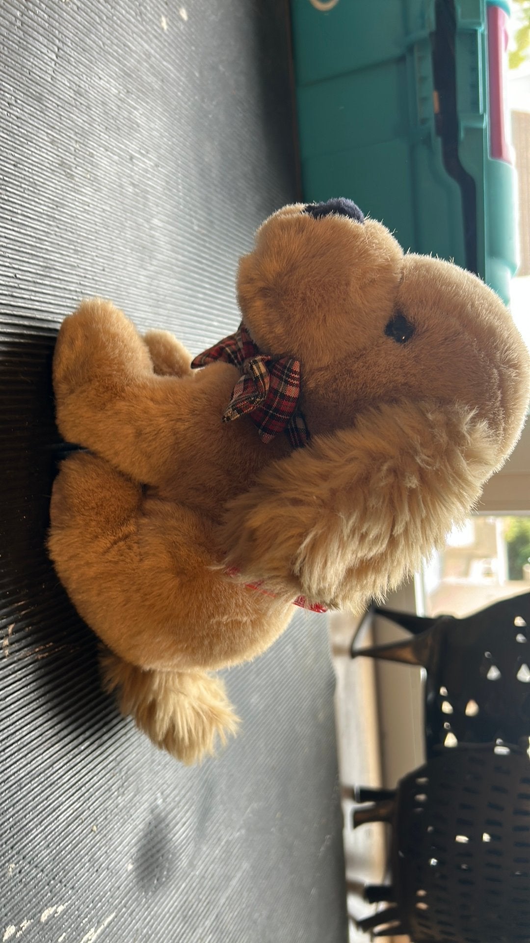 Kniffel hondje, Ophalen of Verzenden, Hond