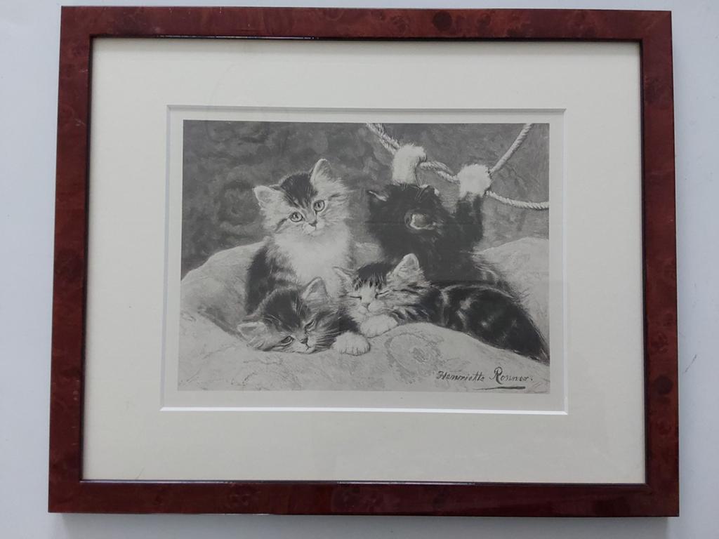 Schilderij katten, Ophalen