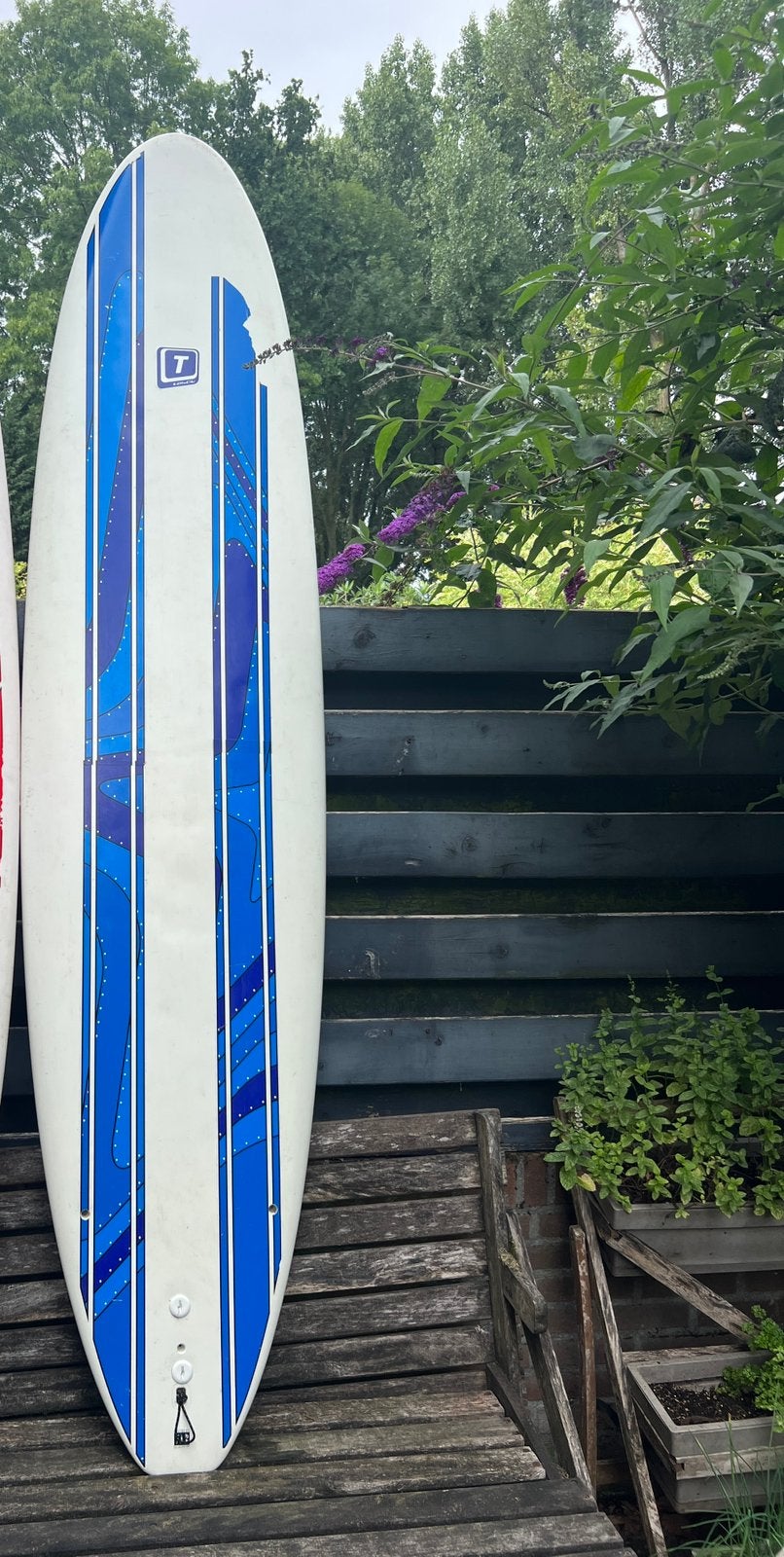 Surfboard Tahe Malibu 7.9 - Vergelijkbaar met BIC, Ophalen, Gebruikt, Shortboard, Met vinnen