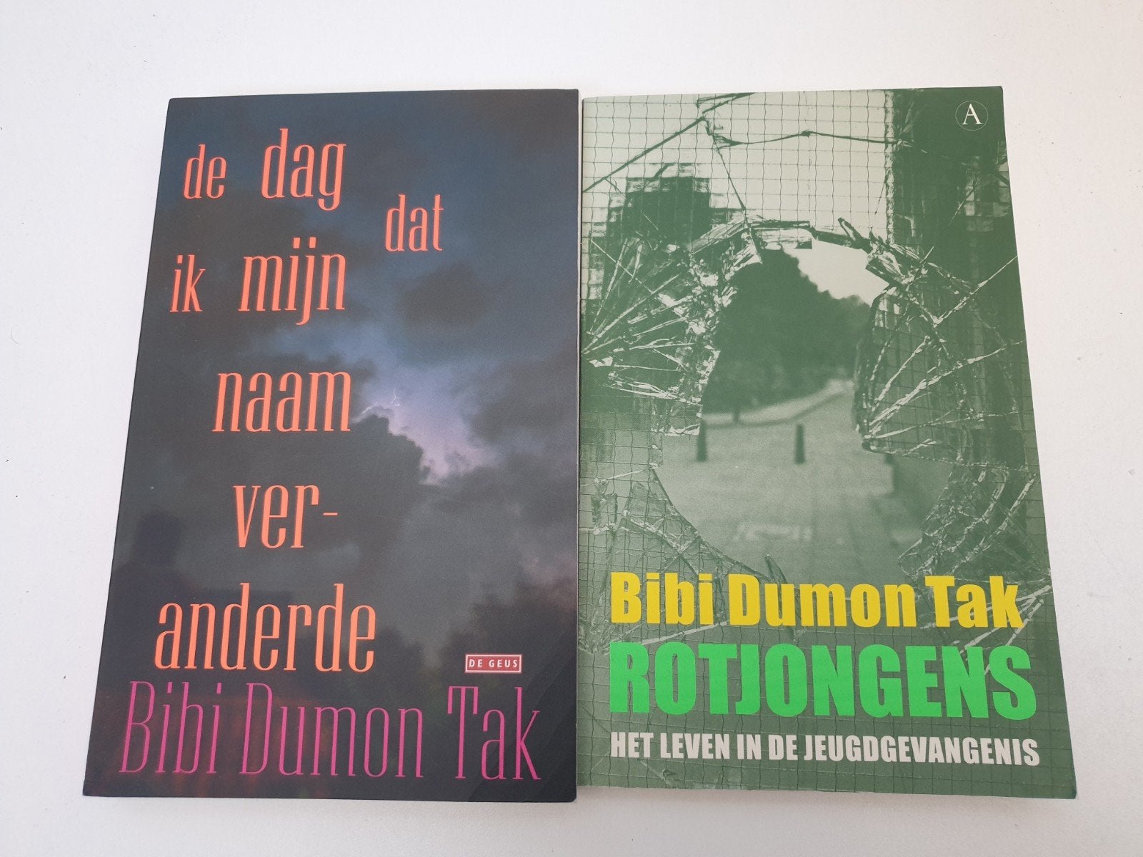 Bibi Dumon Tak : Rotjongens & De dag dat ik mijn naam, Ophalen of Verzenden, Gelezen, Bibi Dumon Tak