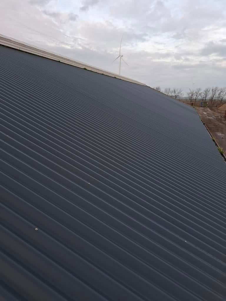 Gezocht sandwich panelen ecopanelen eco dak platen falk, Dieren en Toebehoren, Stalling en Weidegang