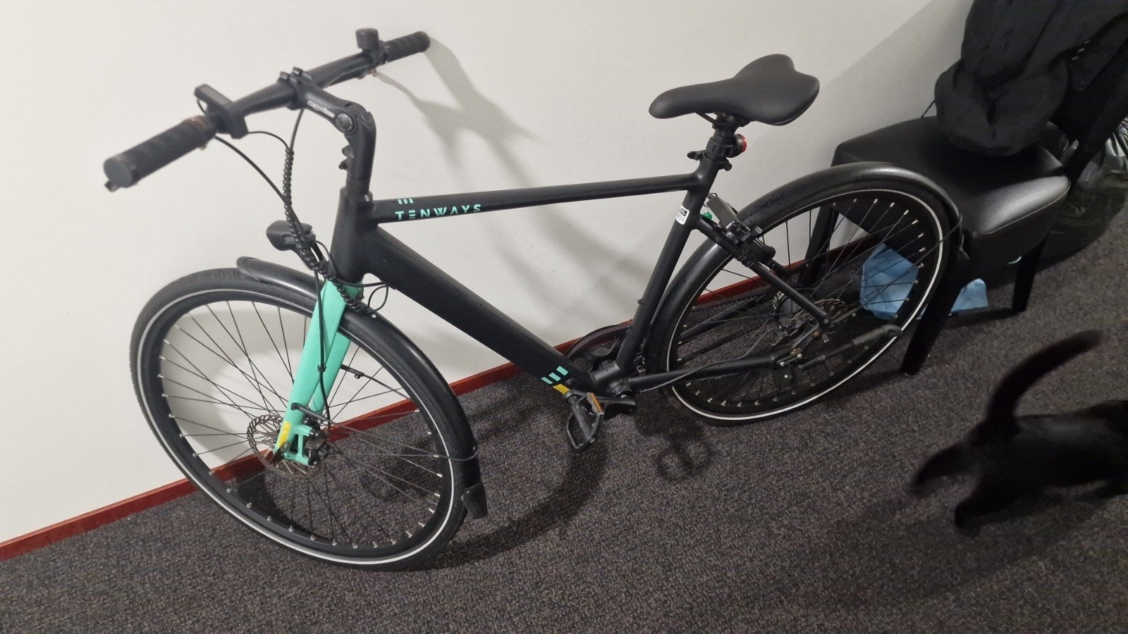Tenways CGO006 maat L electrische fiets ZO GOED ALS NIEUW!, Ophalen, Zo goed als nieuw, Overige merken