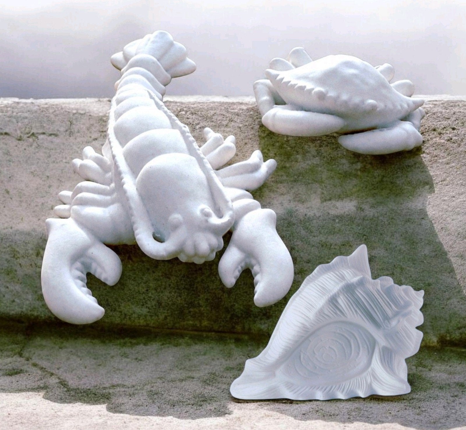 Rivièra maison kreeft
& crab & schelp, Ophalen of Verzenden, Nieuw