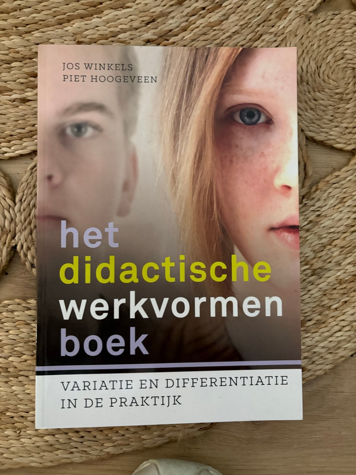 Het didactische werkvormenboek - Jos Winkels, Piet Hoogeveen, Boeken, Studieboeken en Cursussen, Ophalen of Verzenden, Gamma, Zo goed als nieuw