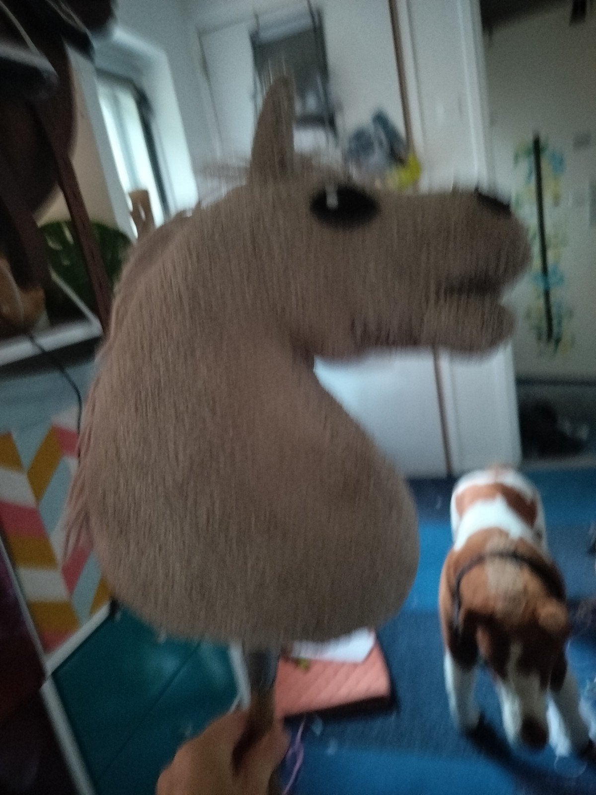 Hobbyhorse / Stokpaardje, Ophalen, Gebruikt, Jongen of Meisje