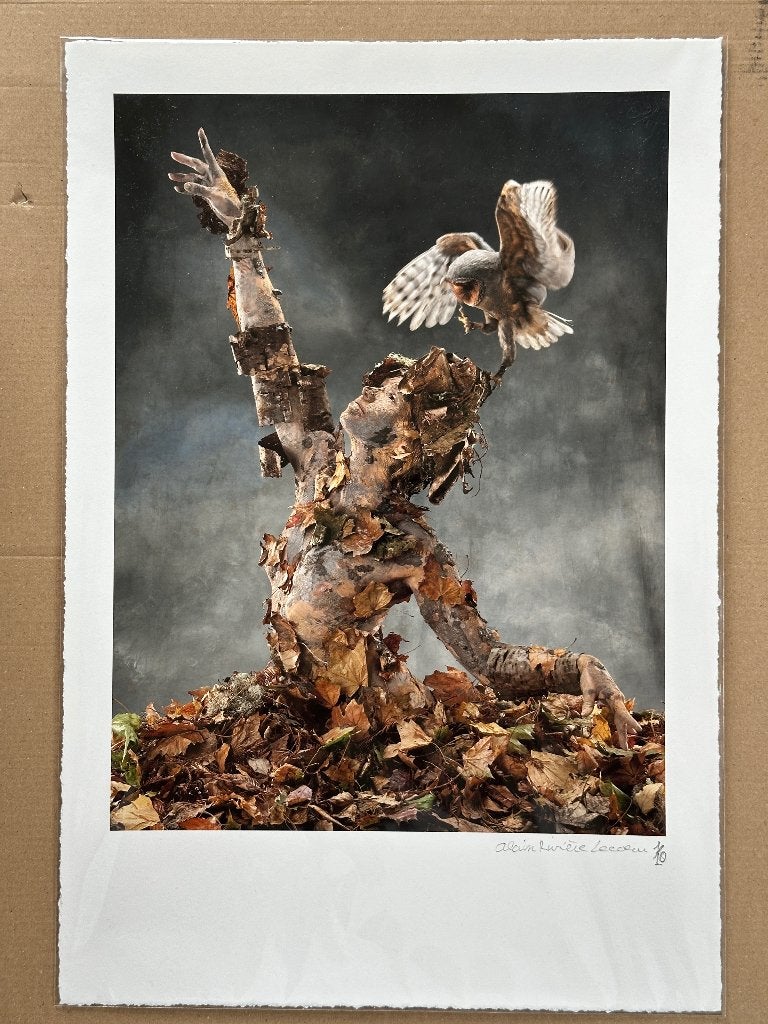 Foto van Alain Riviere-lecoeur, Ophalen of Verzenden, Foto, Fotografie, Origineel