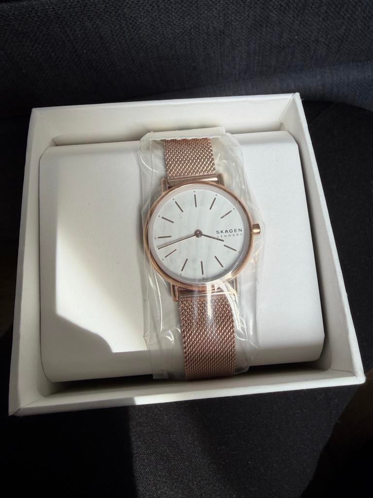 Skagen Denmark horloge, Sieraden, Tassen en Uiterlijk, Horloges | Dames, Overige merken, Staal, Polshorloge, Nieuw