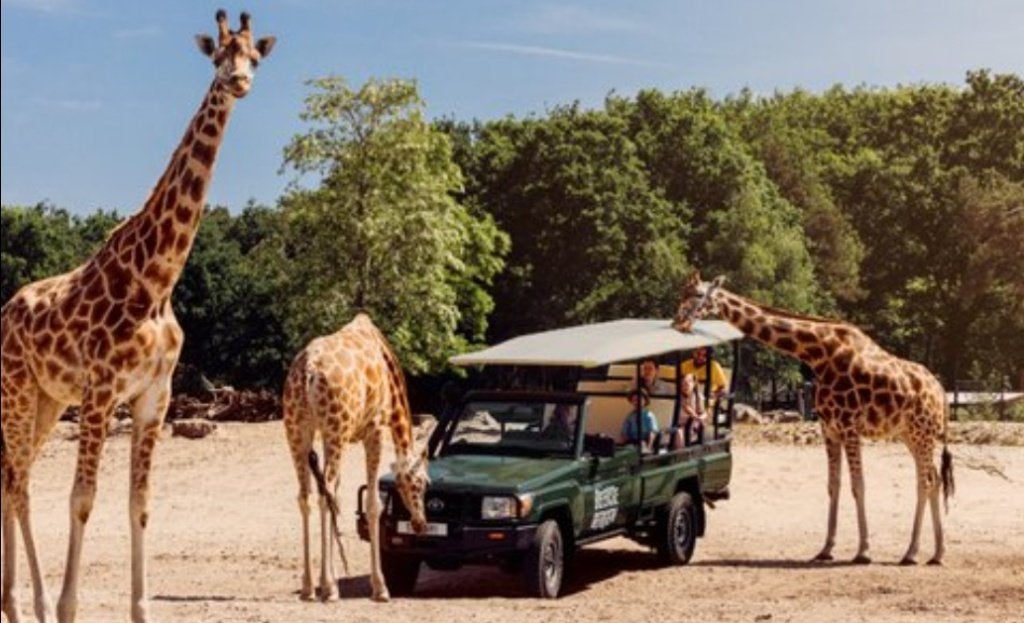 Ticket Safaripark Beekse Bergen nu 17.50 euro!!, Twee personen, Ticket of Toegangskaart