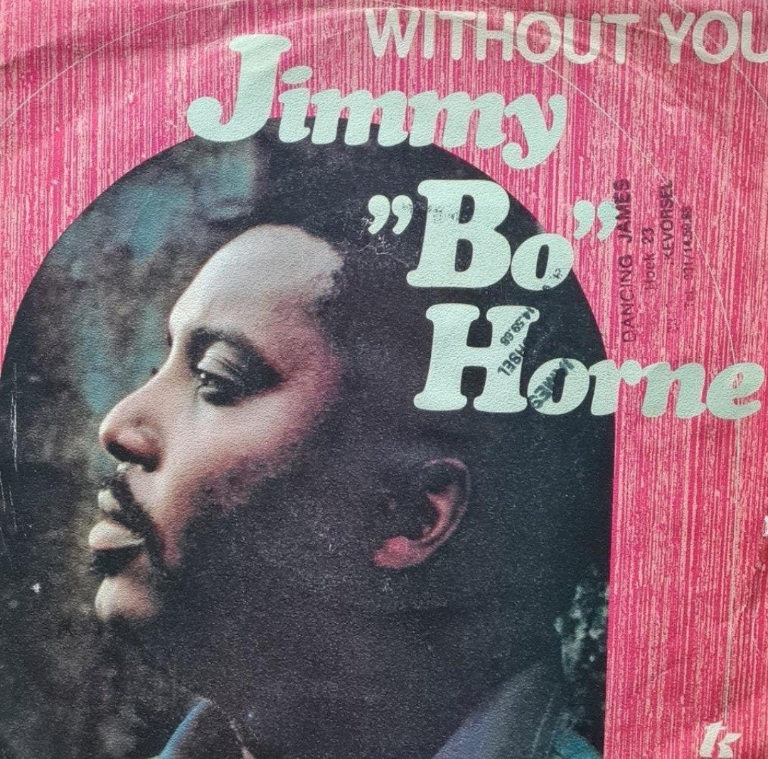 JIMMY BO HORNE - WITHOUT YOU, Cd's en Dvd's, Ophalen of Verzenden, Gebruikt