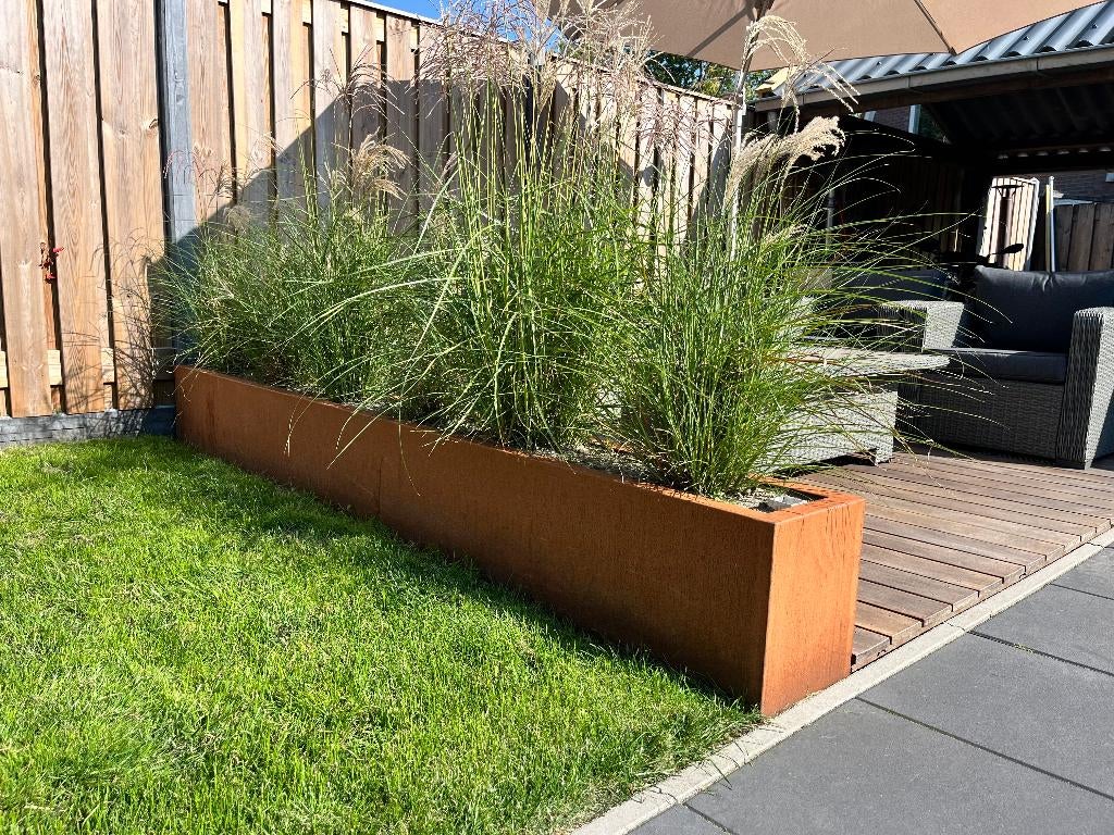 Cortenstalen bloembak, Ophalen, 100 cm of meer, Nieuw, Metaal