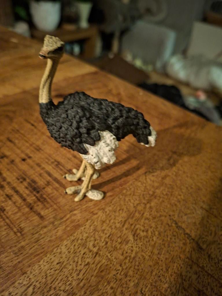 Schleich struisvogel, Ophalen of Verzenden, Zo goed als nieuw, Vogel, Beeldje of Figuurtje