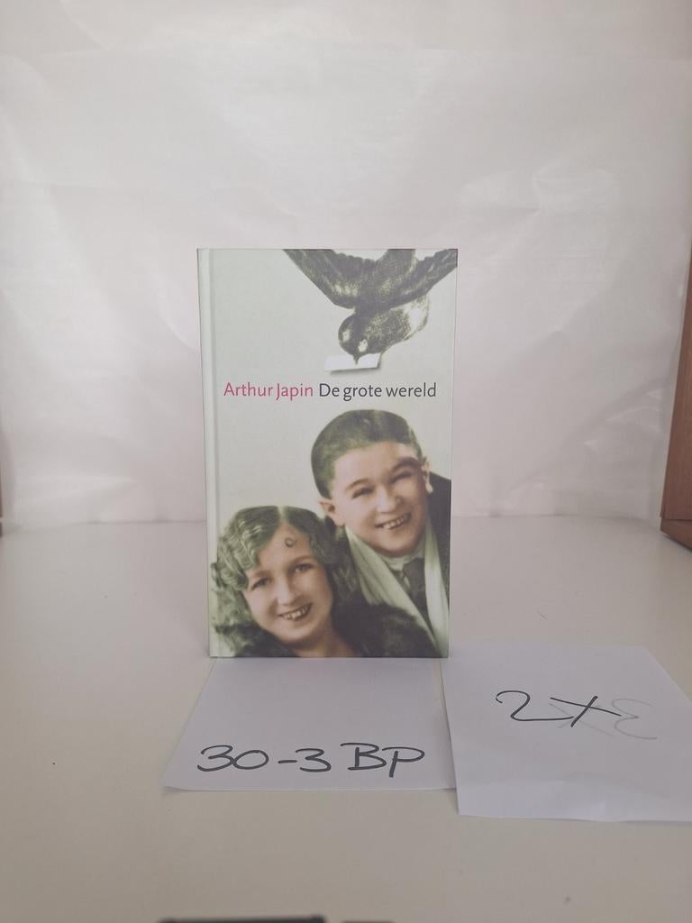 Arthur Japin - De grote wereld (2), Boeken, Ophalen of Verzenden