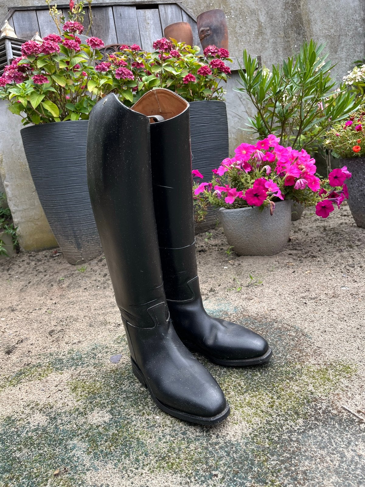 Petri lederen rijlaarzen, Dieren en Toebehoren, Ophalen, Dressuur