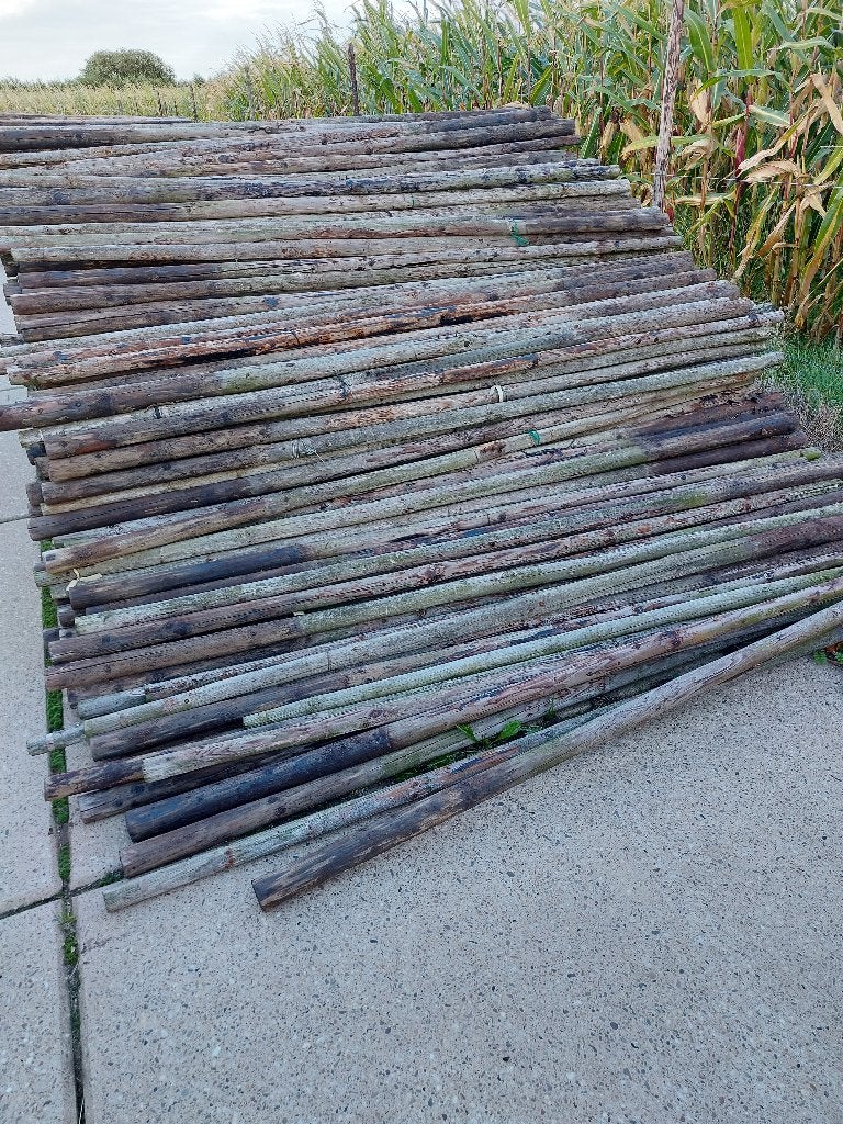 boompalen, Tuin en Terras, Ophalen, Gebruikt, 250 cm of meer, Palen