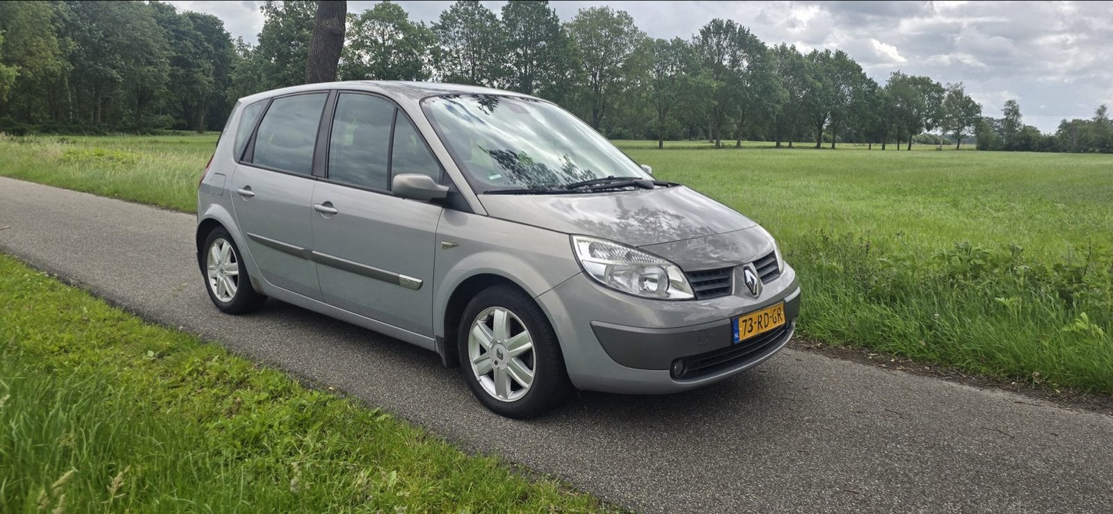 Renault Scénic 2.0-16V AUTOMAAT/TREKHAAK/AIRCO/16 INCH/NAP, 1998 cc, 1250 kg, 4 cilinders, Beige