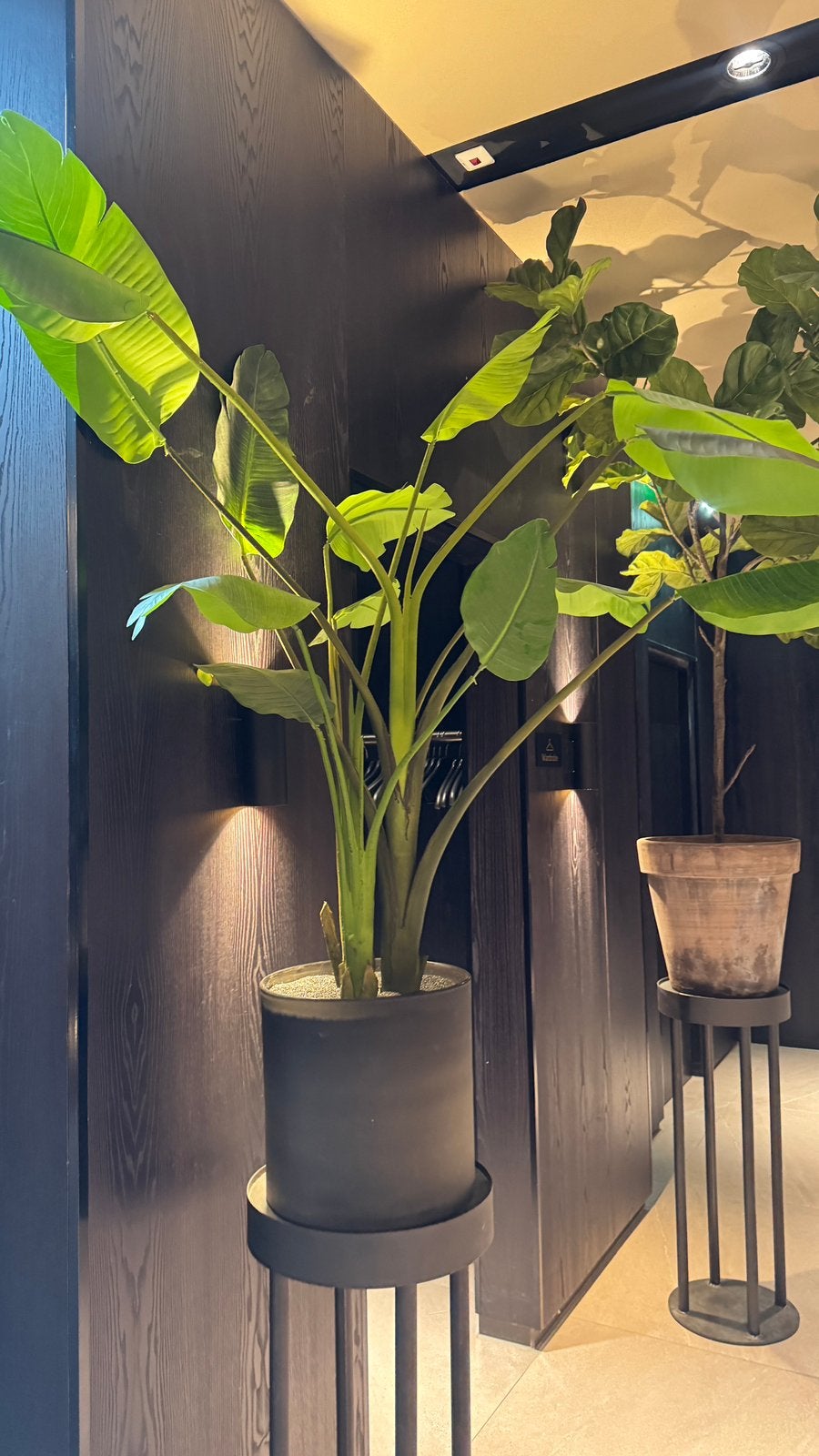 Grote Strelitzia Kunstplant in Pot - Realistisch & Onderhoud, Huis en Inrichting, Kamerplanten, Ophalen, 200 cm of meer, Overige soorten