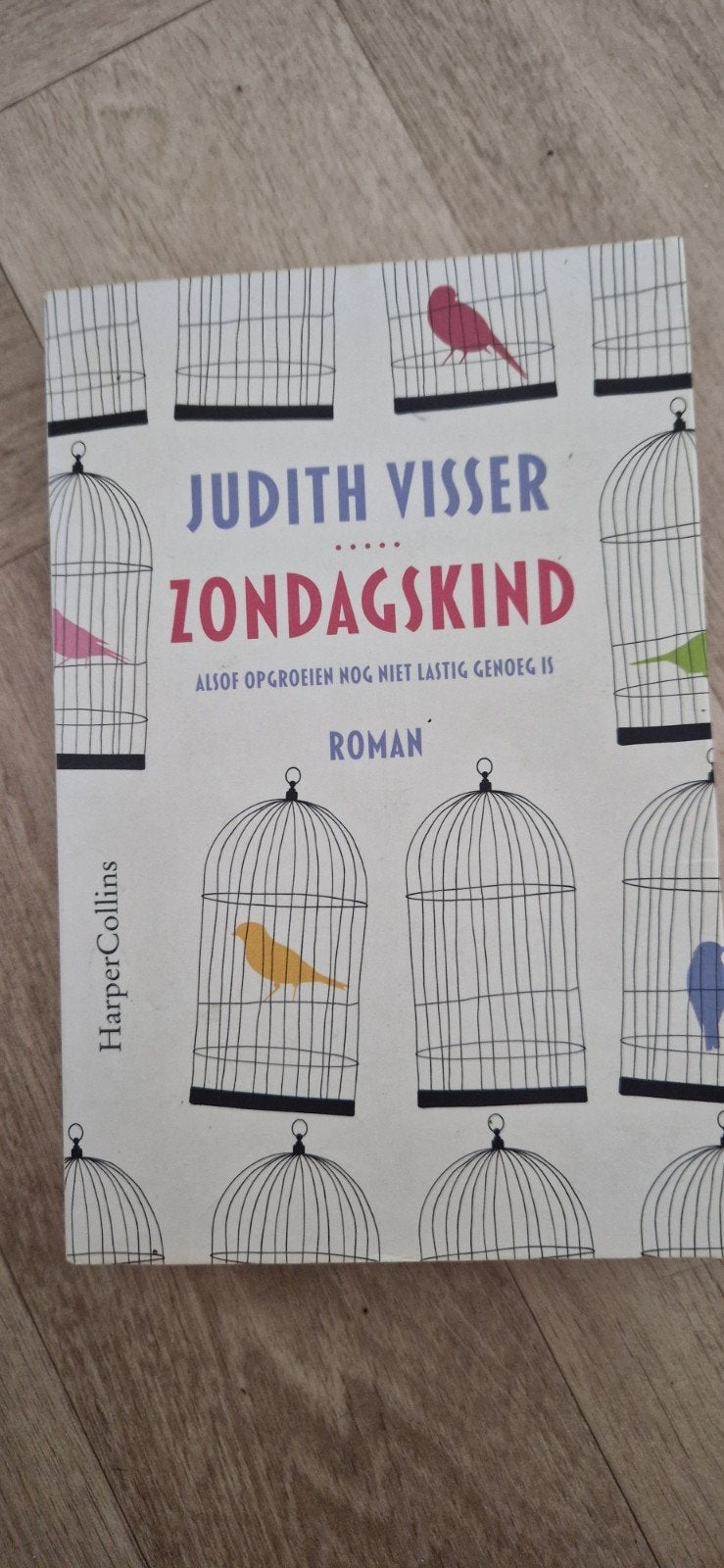 Zondagskind - Judith Visser (Roman), Ophalen of Verzenden, Gelezen, Judith Visser, Nederland